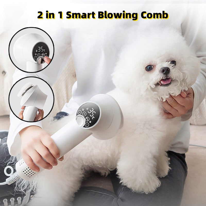 Secador y Cepillo 2 en 1 para Mascotas | Grooming en Casa