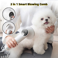 Secador y Cepillo 2 en 1 para Mascotas | Grooming en Casa