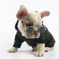 Gafas de Sol para Mascotas Perros y Gatos | Accesorio para Mascotas