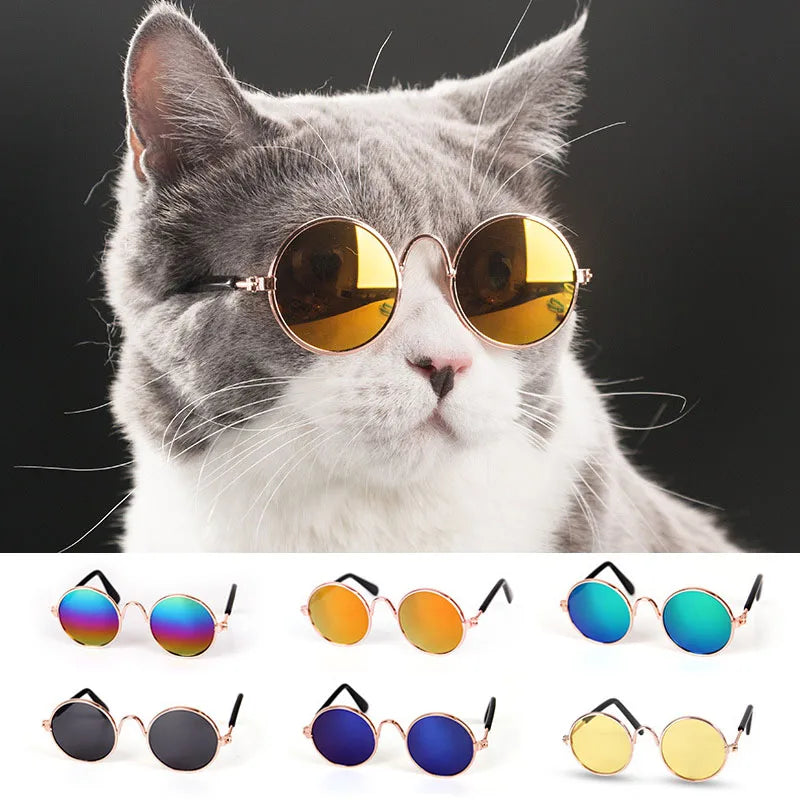 Gafas de Sol para Mascotas Perros y Gatos | Accesorio para Mascotas
