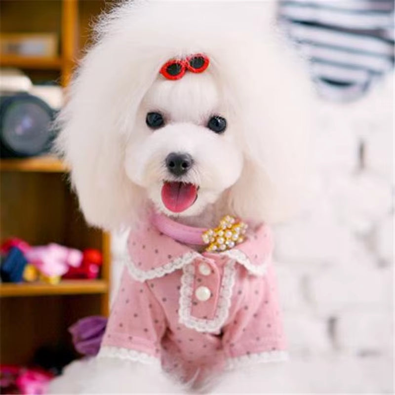 Gafas Decorativas para Perros y Gatos | Accesorio para Mascotas