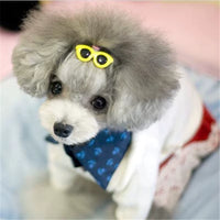 Gafas Decorativas para Perros y Gatos | Accesorio para Mascotas