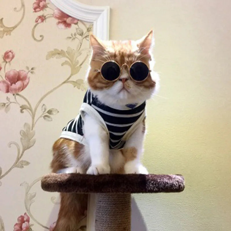 Gafas de Sol para Mascotas Perros y Gatos | Accesorio para Mascotas