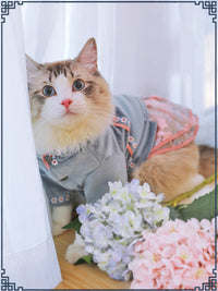 Vestido para Gatos | Ropa Elegante y Cómoda para Mascotas